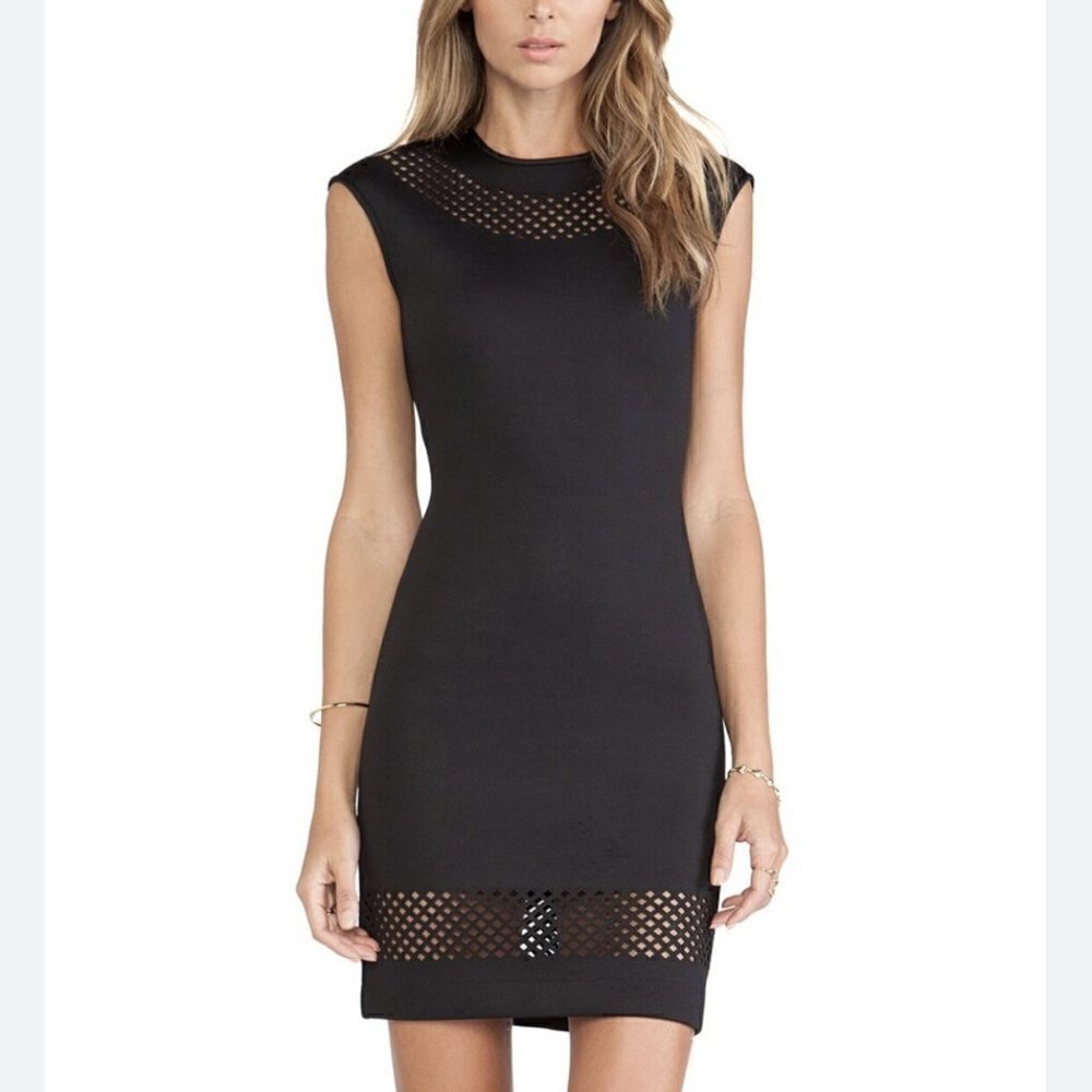 Torn By Ronny Kobo Morgan Dress